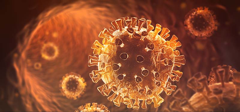 sars-cov-2 coronavirus image 2