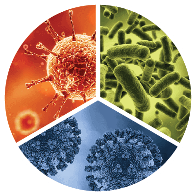 Virus-Bacterial-Pie-Chart